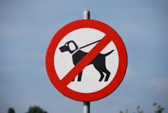 no-dogs